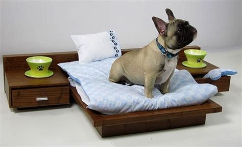 Fancy dog beds designs for the comfort of your beloved pet