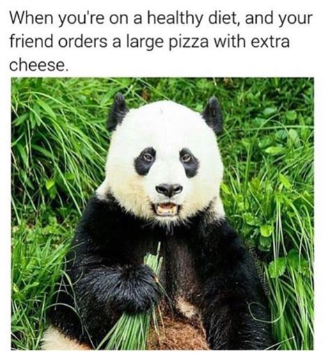 Funny :) | Panda bear, Panda, Panda meme