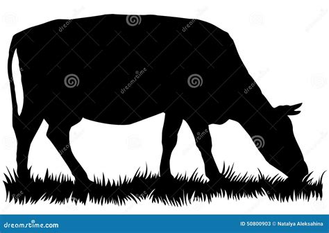 Silhouette Of Cow Eating Grass Stock Vector - Image: 50800903