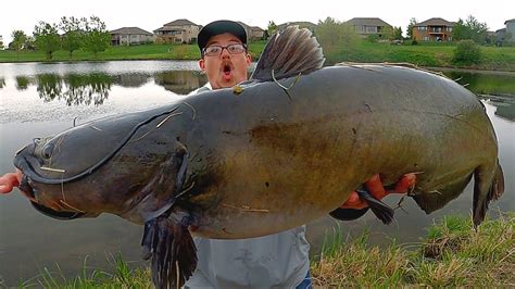 World Record Largest Catfish Caught