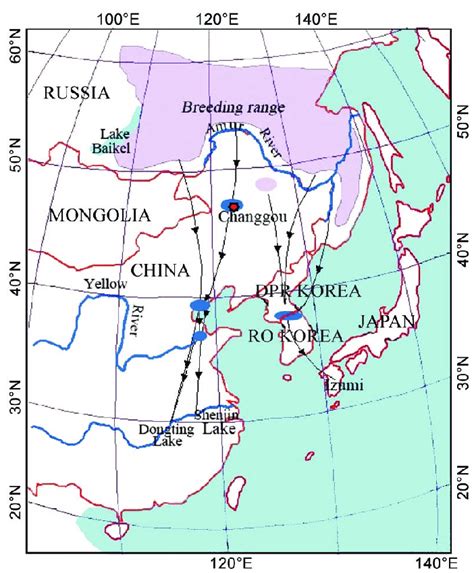 Migration routes of the Hooded Crane in the fall. The blue areas ...