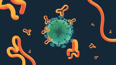 Antigenic Drift vs Antigenic Shift | Technology Networks