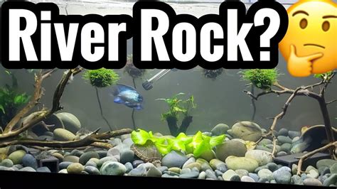 River Rock Large Stone as Aquarium Substrate - YouTube