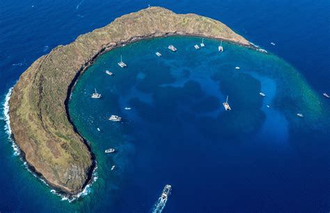 SNORKELING AT MOLOKINI CRATER | Maui travel, Trip to maui, Maui snorkeling