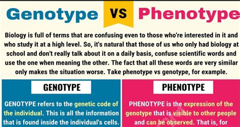 Genotype vs. Phenotype Lesson for Kids: Definitions & Examples | It ...