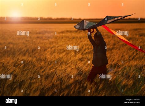 Little boy flying kite in the field at sunset Stock Photo - Alamy