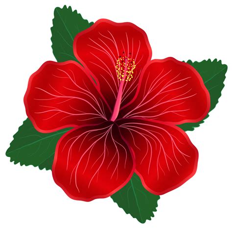 Free Red Flowers Transparent, Download Free Red Flowers Transparent png ...