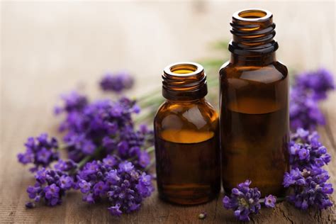 13 Uses For Lavender Oil: The Only Essential Oil You'll Need ...