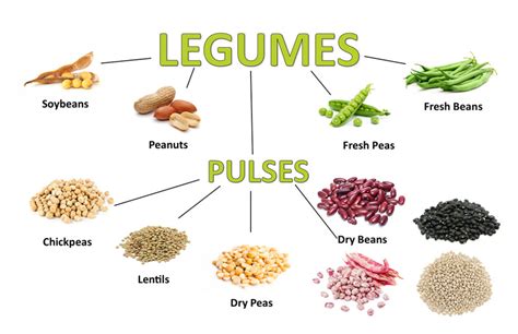 Types of Beans - Ontario Bean Growers