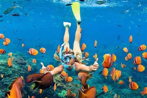 Full-Day Maui Snorkeling at Best Hidden Beaches Tour (Mar 2024)