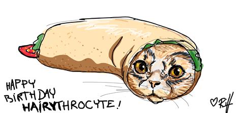 the Burrito challenge » drawings » SketchPort