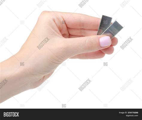 Metal Staples Stapler Image & Photo (Free Trial) | Bigstock