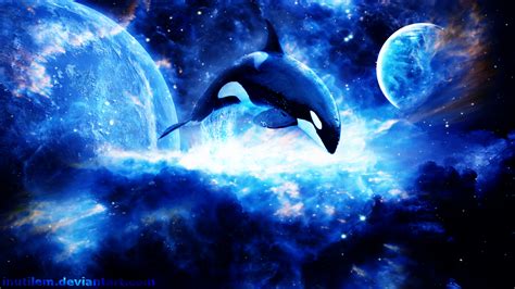 Orca Whale Underwater Beach Wallpaper Hd Desktop | Wallpapers Gallery