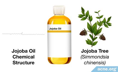 Jojoba Oil - Acne.org