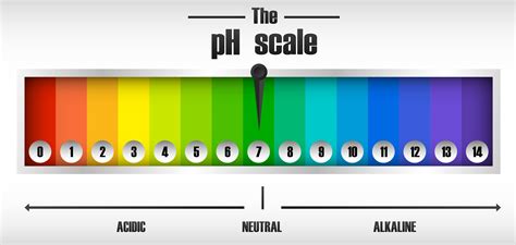 The ph scale diagram 589313 Vector Art at Vecteezy