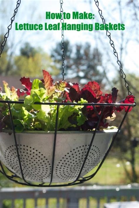 14 DIY Hanging Baskets to Display Your Floral Masterpieces