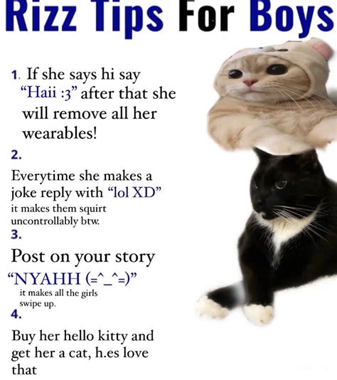 w rizz tips in 2023 | Silly memes, Funny images, Silly cats