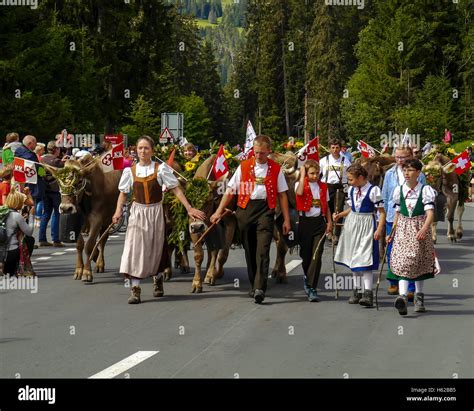 LENZERHEIDE, SWITZERLAND - SEPTEMBER 6, 2014: Traditional Swiss cow ...