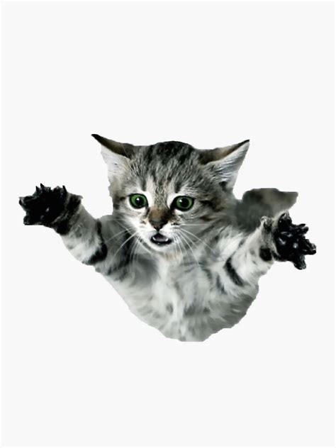 'cat' Sticker by hcpeck | Cats, Cat stickers, Buy a cat