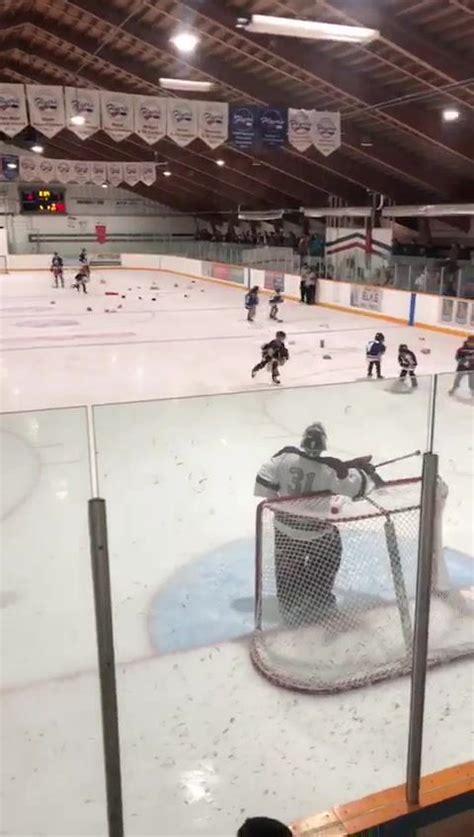 Teddy Bear Toss Goal.. | By Foam Lake Flyers Senior Hockey Team