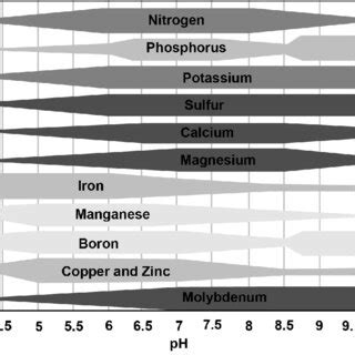 Relation of pH and nutrient availability in soil. | Download Scientific ...