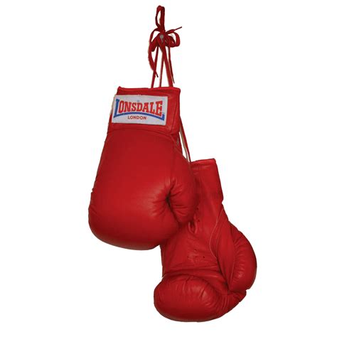 Boxing Gloves Png