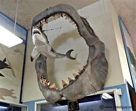 Megalodon Jaws