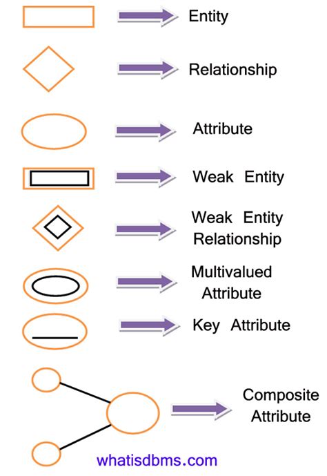 E-R Diagrams in DBMS: Components, Symbols, And Notations