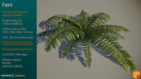 Free Fern Pack Redux by Yughues on DeviantArt