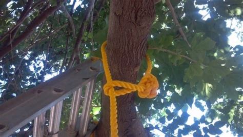 DIY One Rope Tree Swing - TeeDiddlyDee