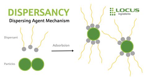 Dispersing Agents: Learn The Basics In 3 Simple Steps