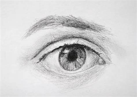 Human Eye Drawing Tutorial