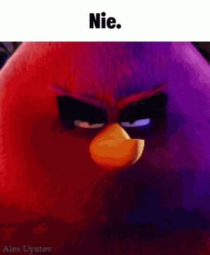 Angry Birds Nie GIF – Angry Birds Nie Angrybird – discover and share GIFs