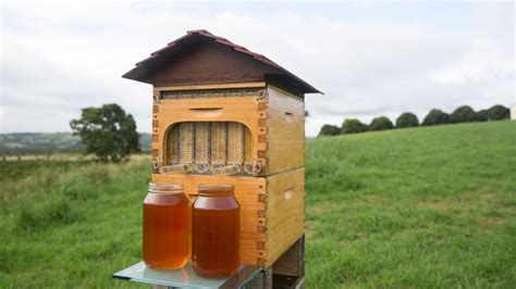 Flow, A Simple Beekeeping Box With Built-In Taps for Extracting Honey ...