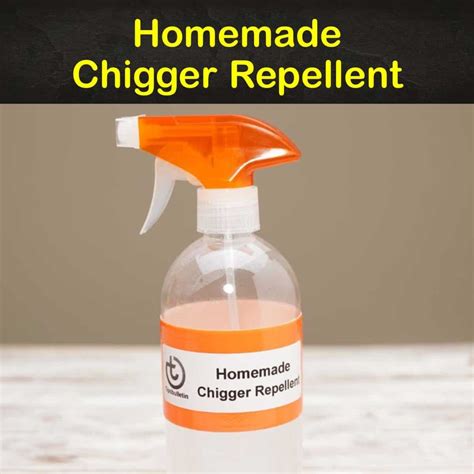 7+ Do-It-Yourself Chigger Repellent Recipes