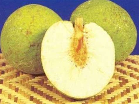 Breadfruit oil down - Recipe Petitchef