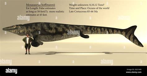 Mosasaurus High Resolution Stock Photography and Images - Alamy