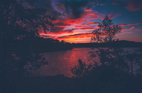 Red Evening Sunset Lake View From Forest Woods, HD Nature, 4k ...