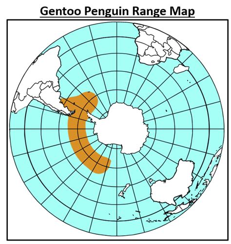 Rockhopper Penguin Habitat Map