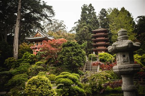 Tips For Visiting The San Francisco Japanese Tea Garden