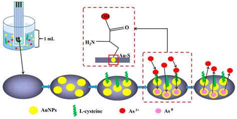 Biosensors | Free Full-Text | In Situ Deposition of Gold Nanoparticles ...