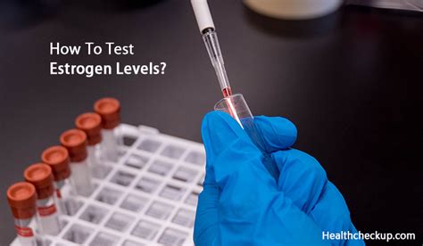 How To Test Estrogen Levels?