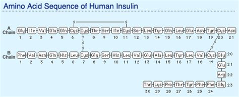 Ajinomoto Group | Features | Encyclopedia of Amino Acids