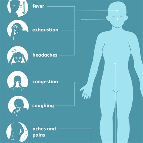 Influenza Virus Vs Coronavirus