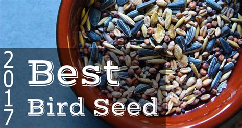 Best Bird Seed 2017 - Cardinals, Finches, Jays, Hummingbirds & More ...