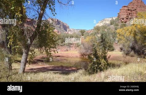 Arizona desert trees Stock Videos & Footage - HD and 4K Video Clips - Alamy