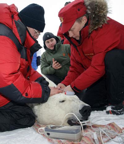 Hunting season - President, animal lover, professional wild man: Russia ...