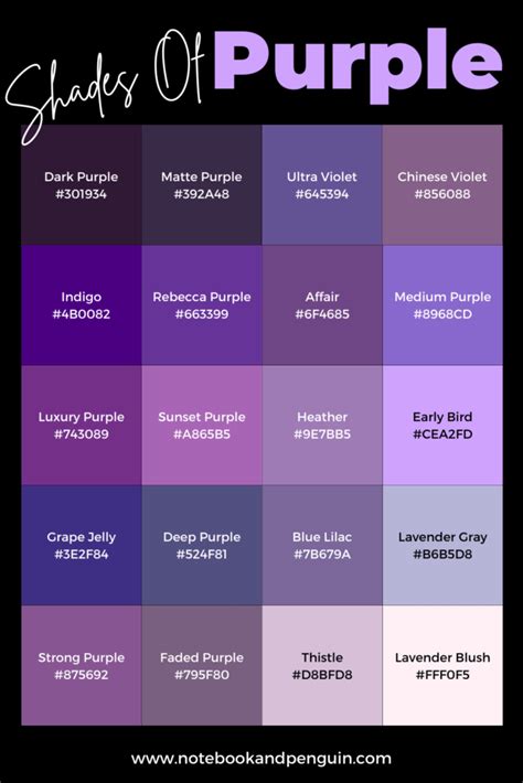 95+ Perfect Shades Of Purple (With Hex Codes)