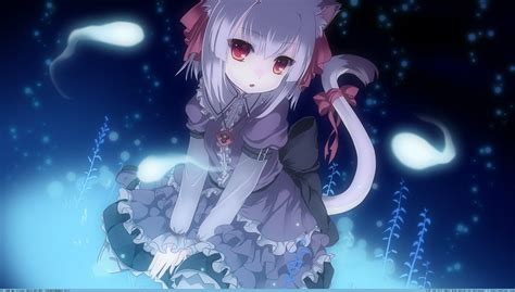 Cat Wallpaper Anime Girl - PetsWall