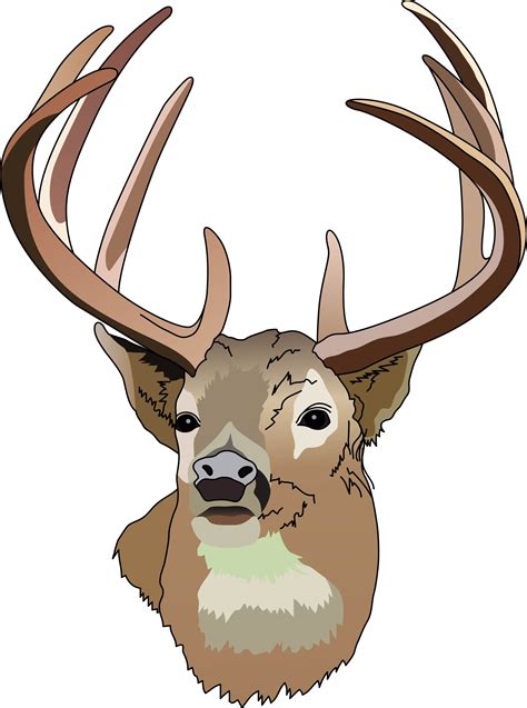 Deer Head Clipart - Cliparts.co